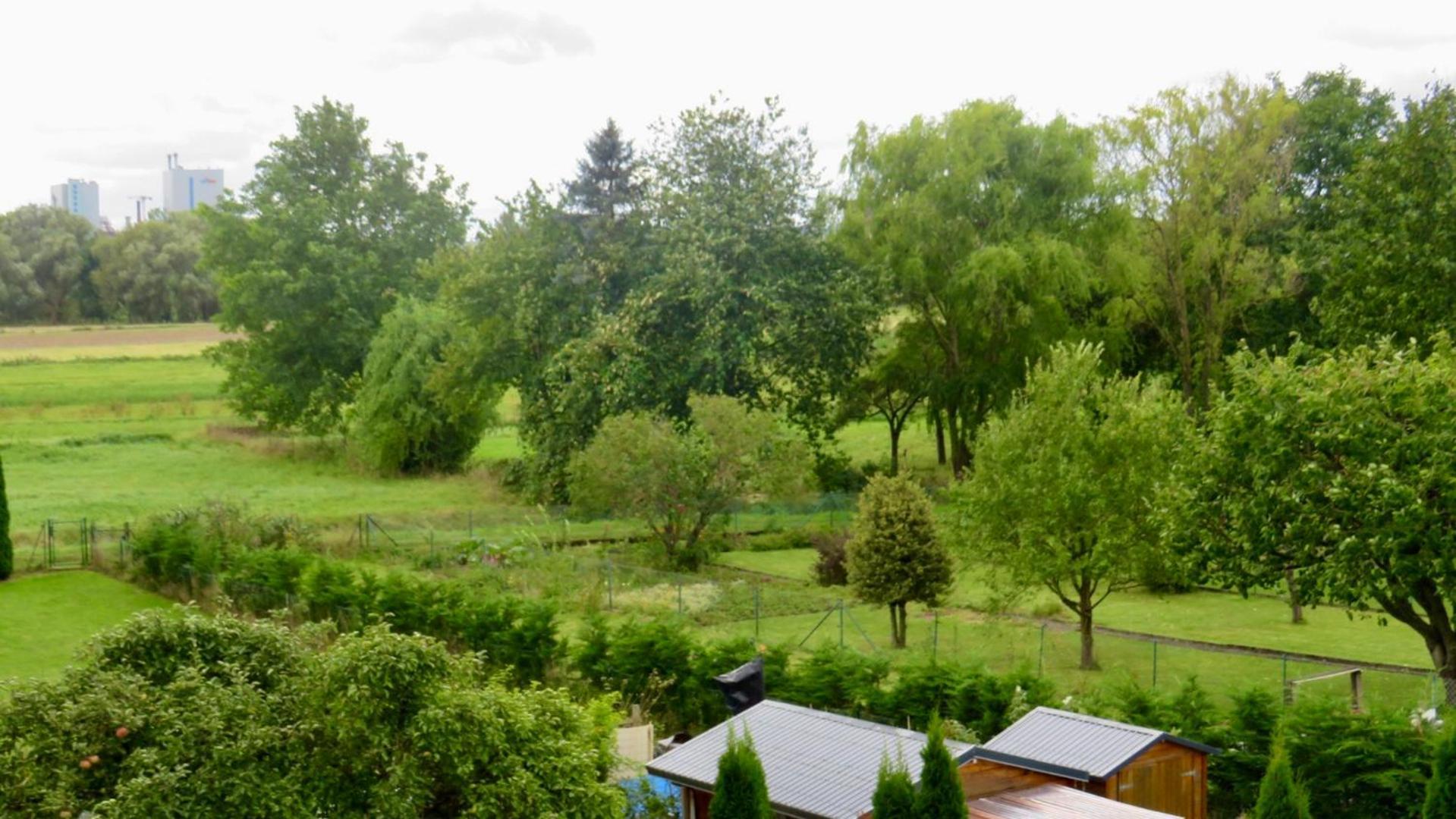 Don Quijote Ferienwohnung Kassel Dış mekan fotoğraf